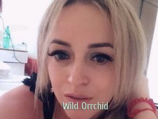 Wild_Orrchid