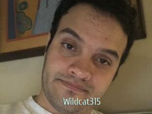 Wildcat315
