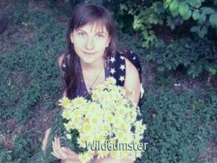 Wildcumster