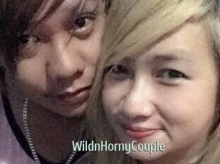 WildnHornyCouple
