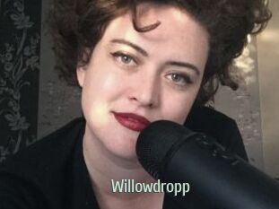 Willowdropp