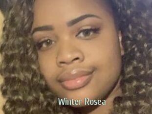 Winter_Rosea