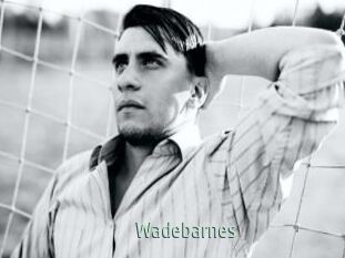 Wadebarnes