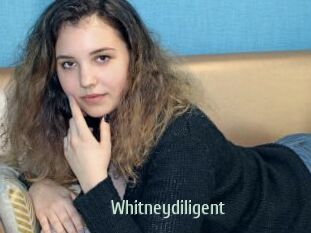 Whitneydiligent