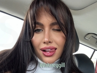 Whitneygill