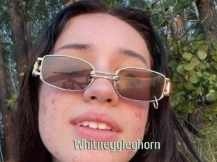 Whitneygleghorn