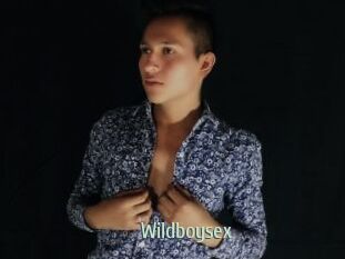 Wildboysex
