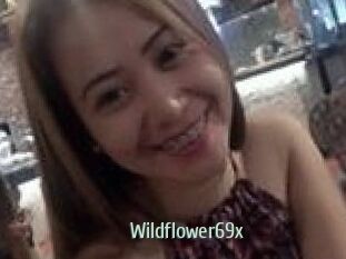 Wildflower69x