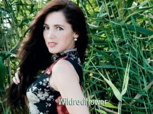 Wildredflower