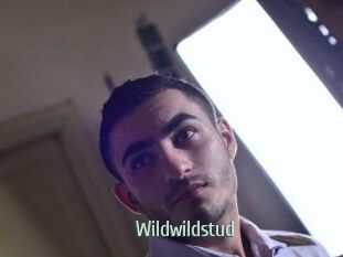 wildwildstud Sexcam Zone