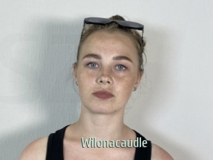 Wilonacaudle