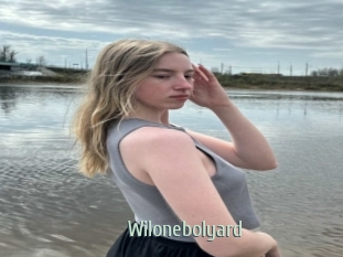 Wilonebolyard
