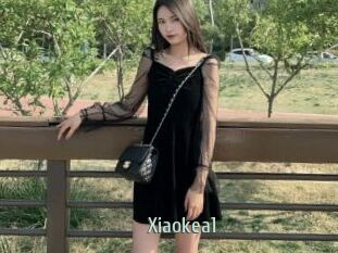 Xiaokea1