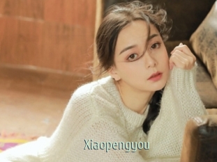 Xiaopengyou