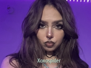 Xoxospider