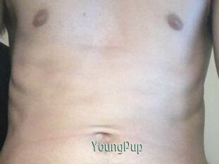 YoungPup