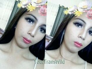 YourTransWild