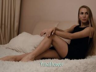 Ymaflower
