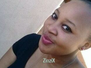 ZinziX