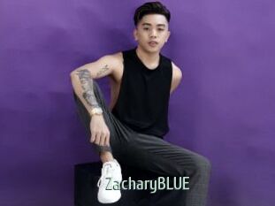 zacharyBLUE Sexcam Zone