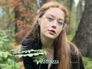 Zadnizza