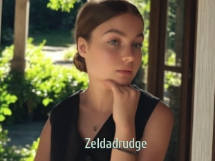 Zeldadrudge