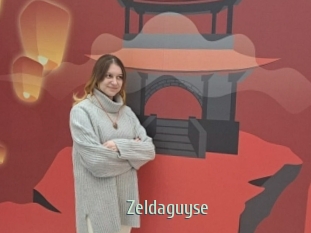 Zeldaguyse