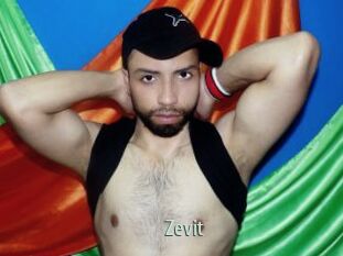 Zevit